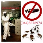 Уничтожение вредных насекомых, грызунов