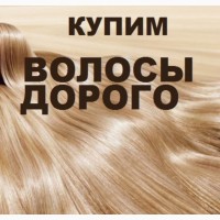 Щодня ми купуємо волосся у Чернівцях та по всій Украіні до 100000 грн