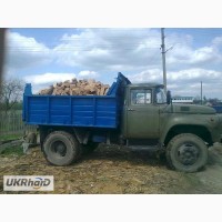 Продам дрова твердих порід (дуб, граб, ясен) Доставка ЗіЛ 130