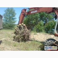 Аварийный спил деревьев (067)4475221 , удаление аварийных деревье