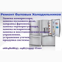 Ремонт бытовых холодильников без выходных в Днепре