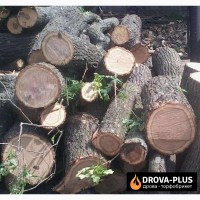 Купити дрова за низькими цінами в Луцьку