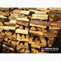 Купити дрова в Ківерцях Drova-plus