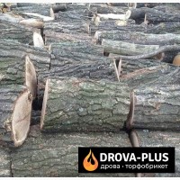 Дрова дуб купити в Рожищах Drova-plus