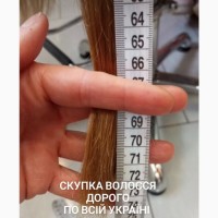Купуємо волосся від 35 см у Дніпродзержинську та по всій Україні