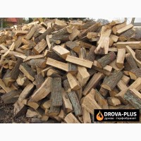 Доставка дров у Горохові - Drova-plus