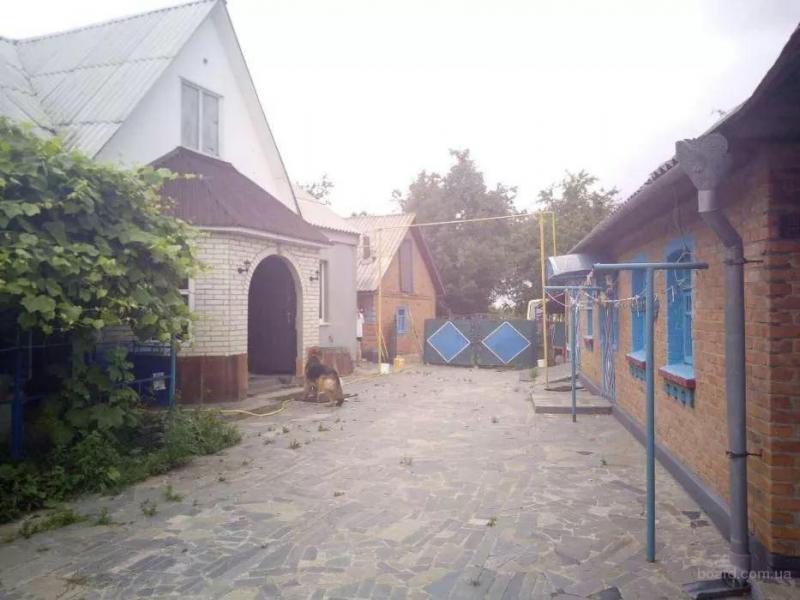 Фото 3. Дом, хоз.постройки, сад (домовладение) в с.Мизяковские Хутора, Вин. р-н