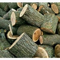 Продам дрова дубові чурки колодки Луцьк