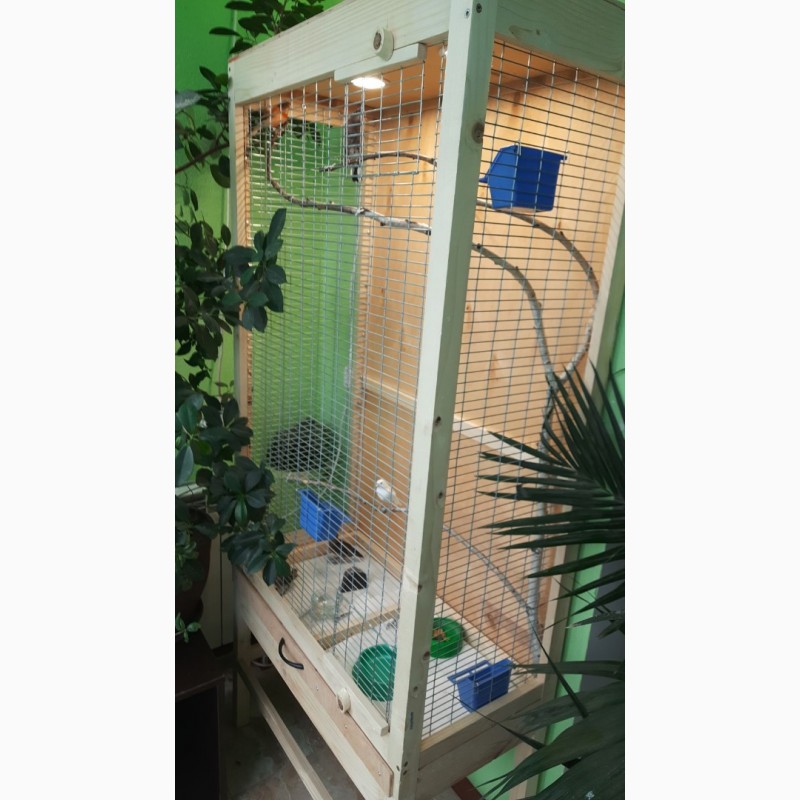 Фото 6. Клетка вольер для мелкой домашней птички попугая, кенора и других на подставке