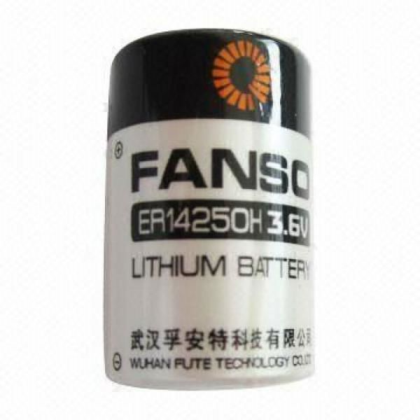 Фото 5. Літієві батарейки FANSO 3, 6 В (Li-SOCl2)