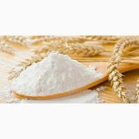 Компания производитель продает оптом пшеничную муку в/с, 1/с, 2/с от 5/т