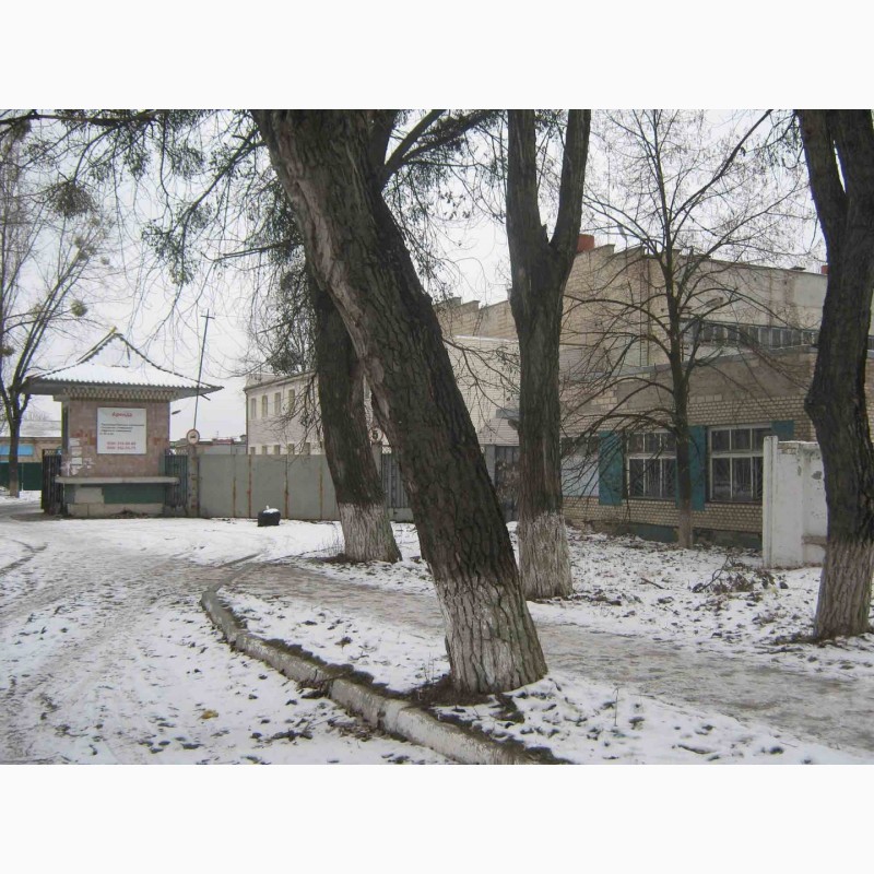 Фото 10. Продам два кирпичных здания( на фасаде ), город Ирпень, центр, Киев 9 км