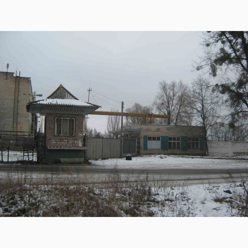 Фото 5. Продам два кирпичных здания( на фасаде ), город Ирпень, центр, Киев 9 км