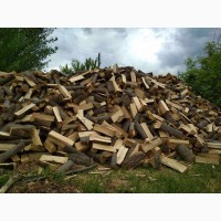 Реалізація паливних дров Горохів придбати дрова в Горохові